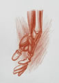 Michael Hensley Drawings, Human Anatomy 37